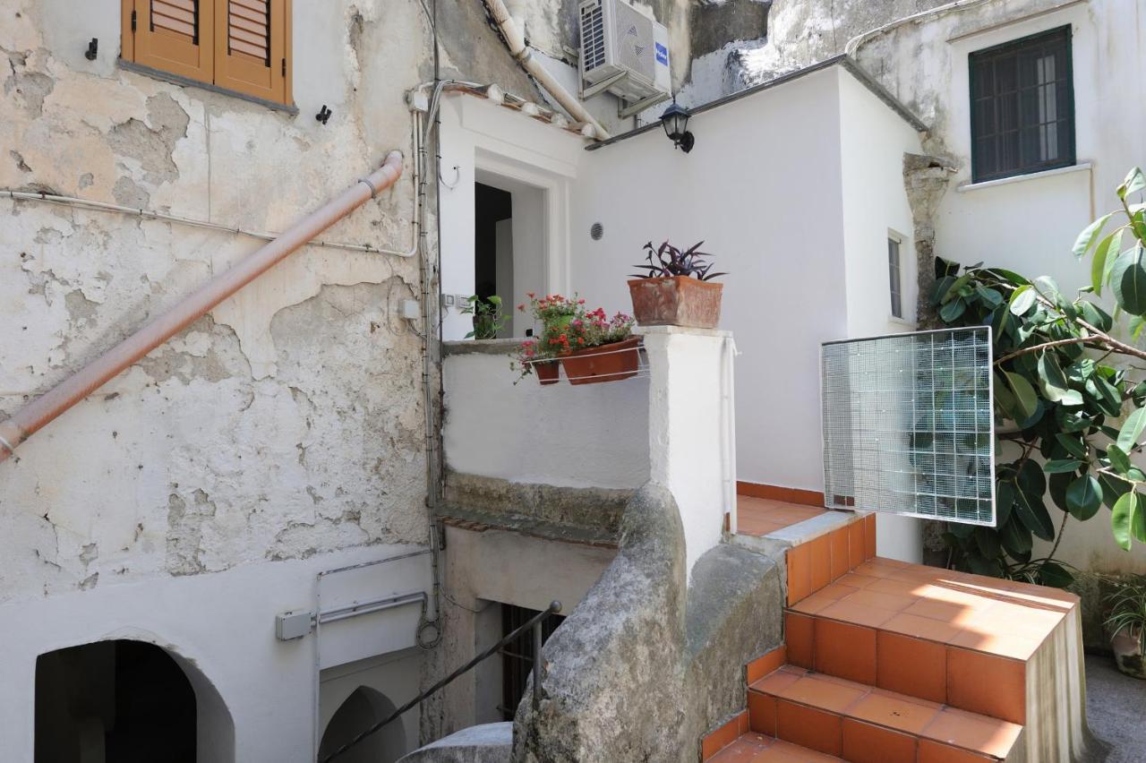 Apartment Casa Ciprea
